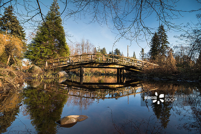 斯坦利公园的木桥图片素材