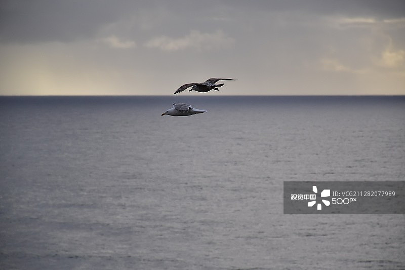 同样的风会照顾你我图片素材