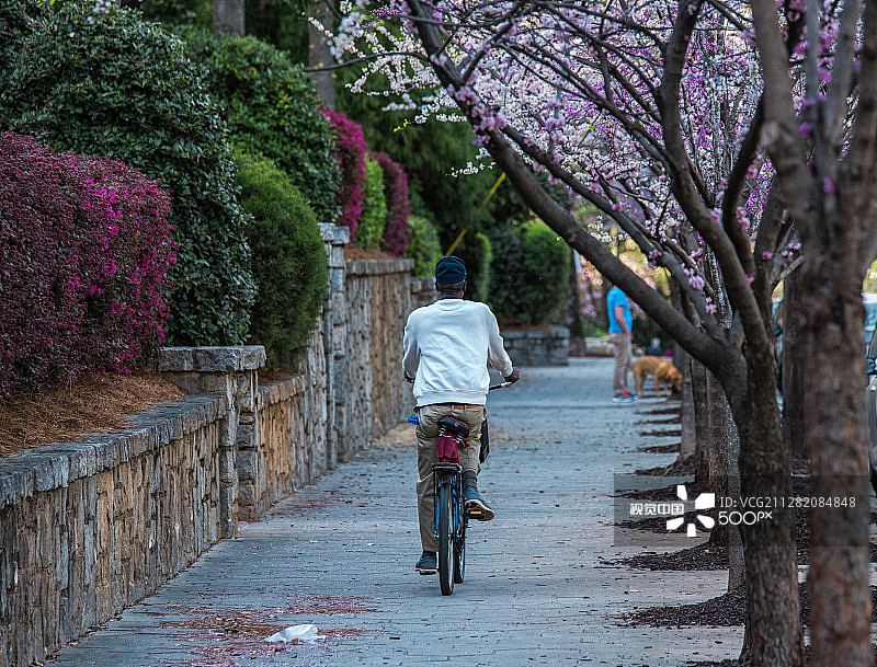 与我同行图片素材