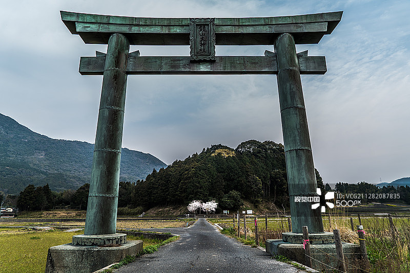 鸟居与樱花图片素材