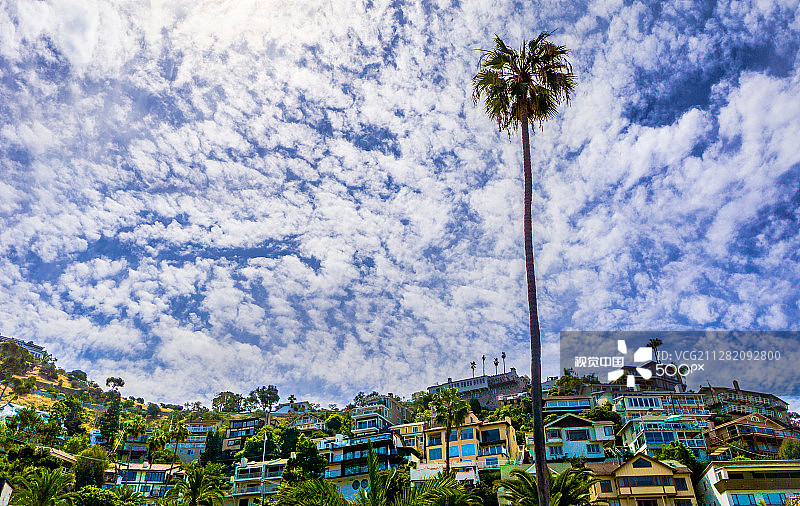 卡塔利娜岛图片素材