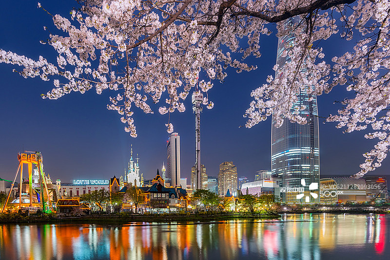 韩国首尔夜樱图片素材