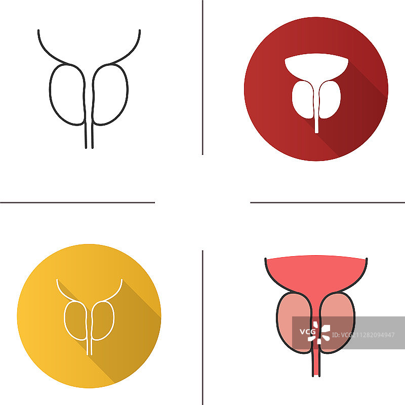 前列腺和尿道图标图片素材
