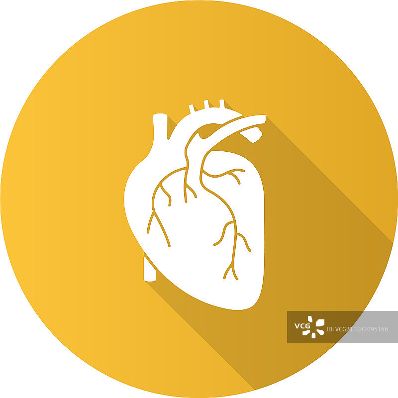 人类心脏解剖扁平设计长阴影字形图片素材
