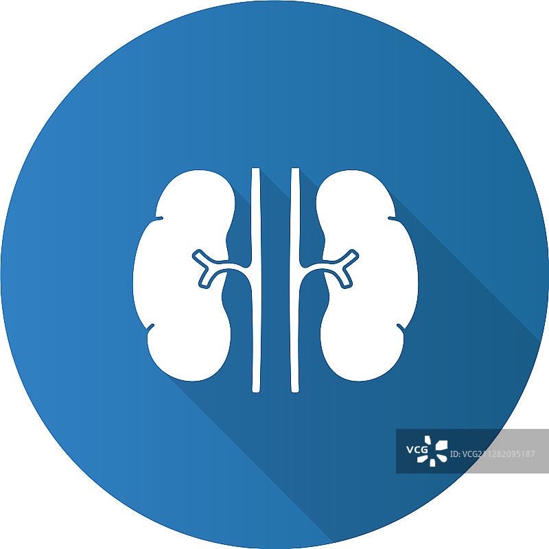 人类肾脏扁平设计长阴影字形图标图片素材