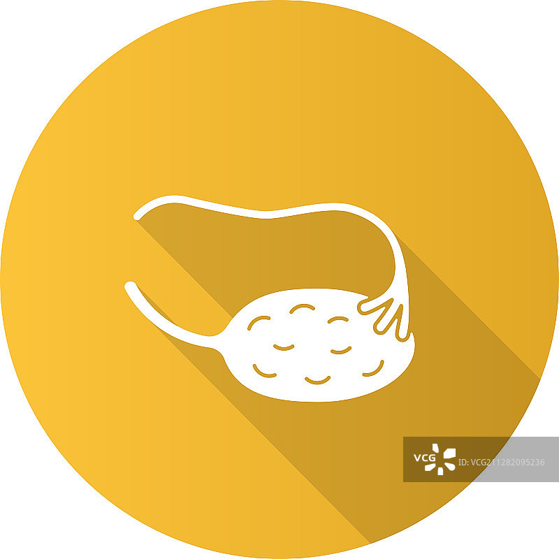 卵巢和输卵管扁平设计长阴影图片素材