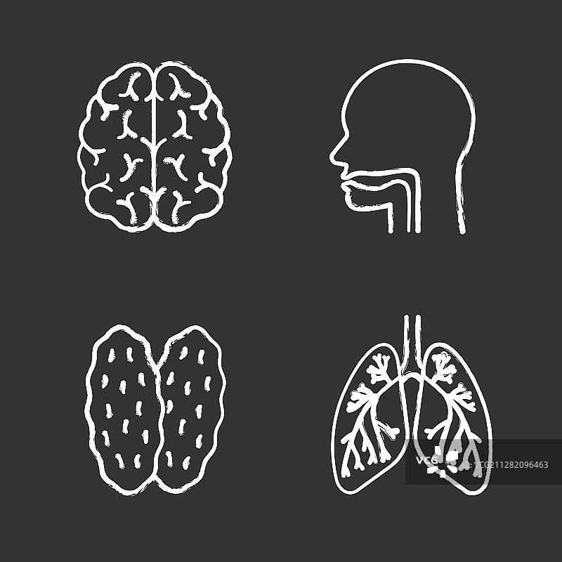 内脏粉笔图标集图片素材