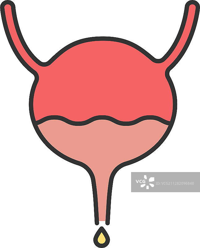 泌尿系统彩色图标图片素材