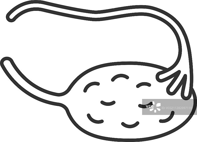 卵巢和输卵管线性图标图片素材