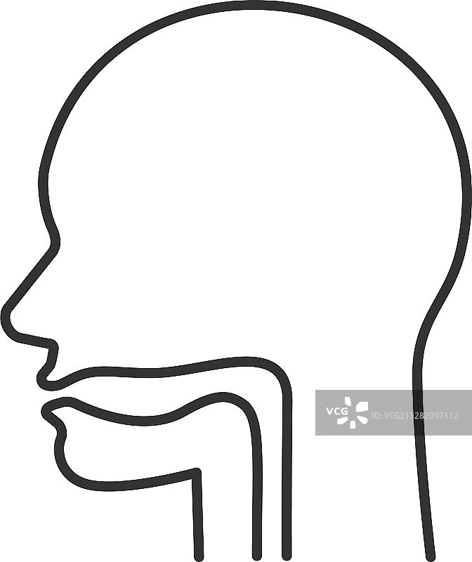 口腔咽和食道线性图标图片素材