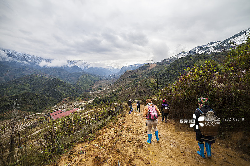 越南沙巴的稻田梯田图片素材