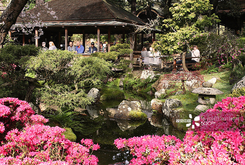 池塘边的凉亭图片素材