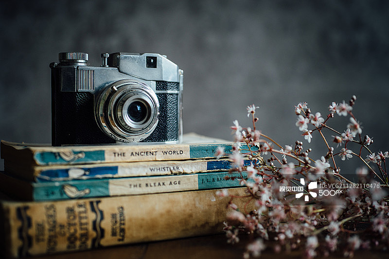 复古书籍和相机1图片素材