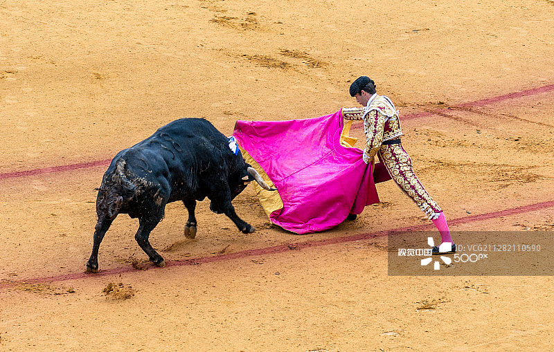 斗牛士和公牛图片素材