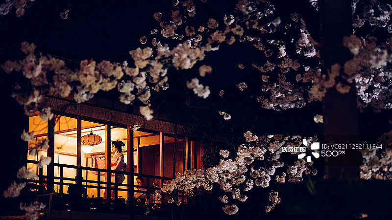 艺伎与樱花图片素材