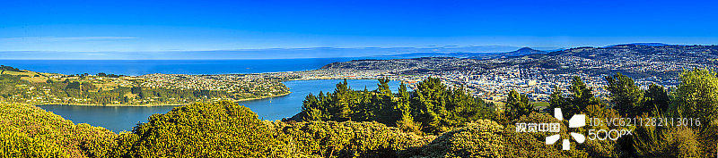 从信号山拍摄的达尼丁全景图片素材