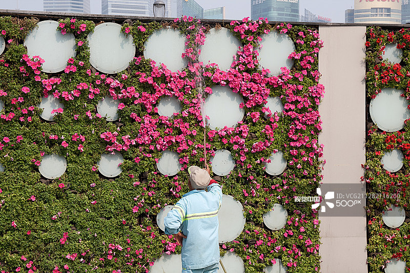 上海垂直花园图片素材
