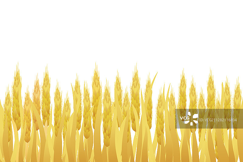 芒种节气金黄的麦穗生长谷物丰收卡通插画图片素材