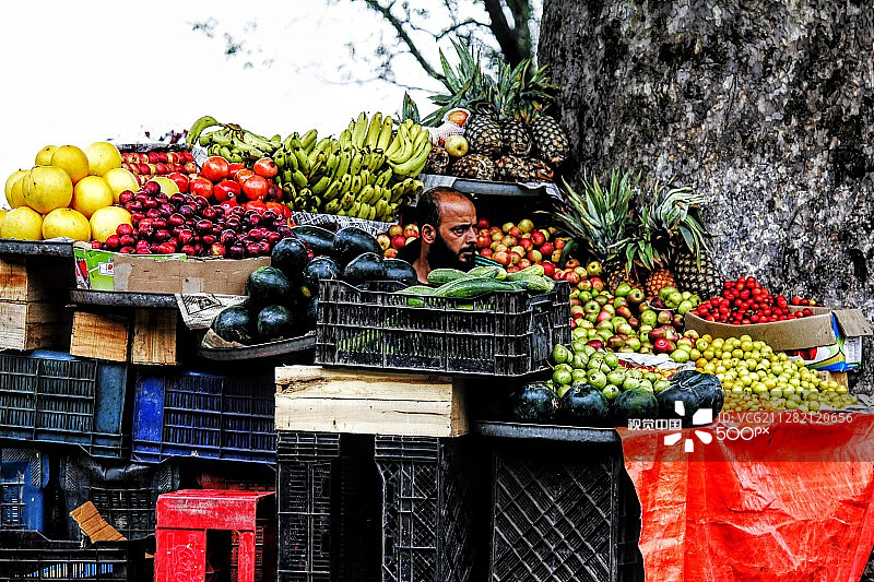 斯利那加尼沙特巴格的水果商贩，克什米尔图片素材
