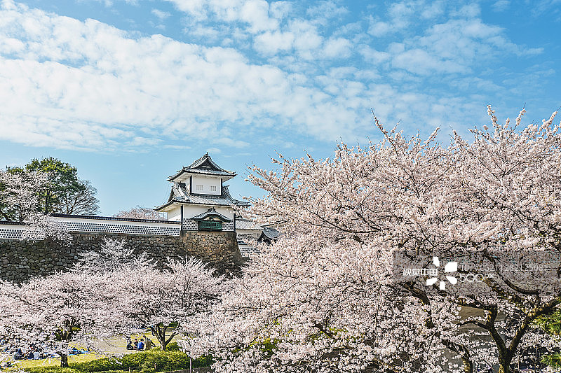 金泽城的春季景色图片素材
