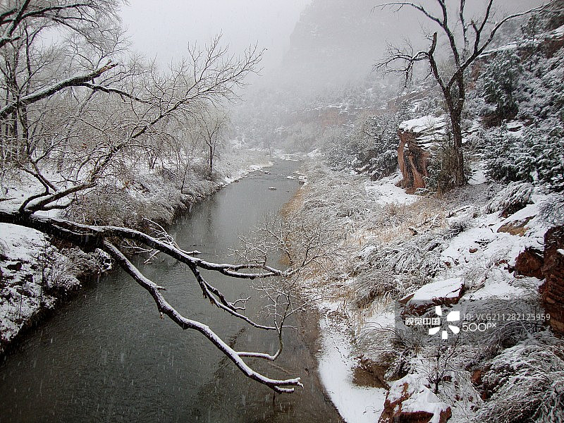锡安的维 Virgin 河图片素材