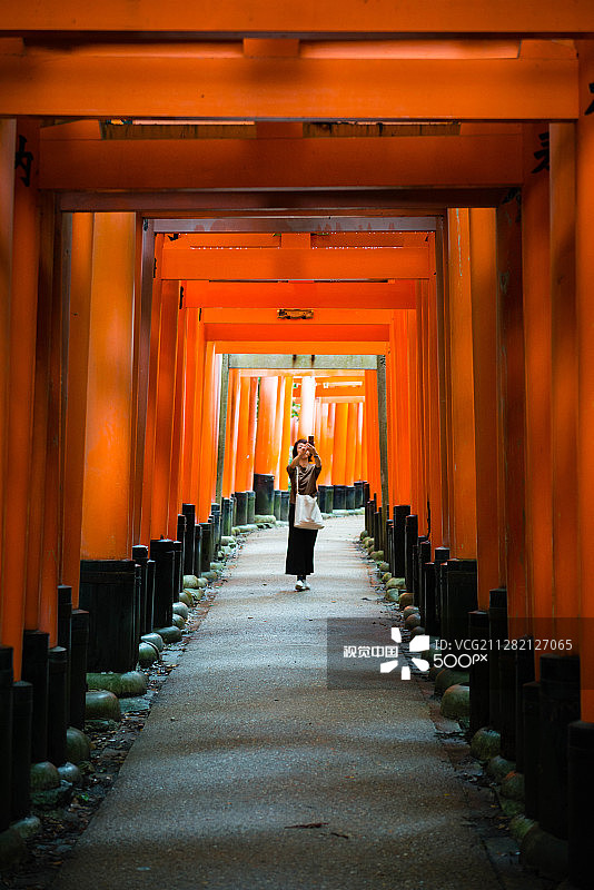 伏见稻荷大社图片素材