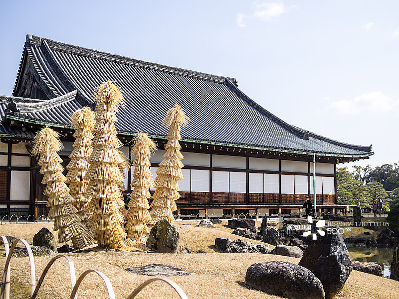 二条城的树木图片素材