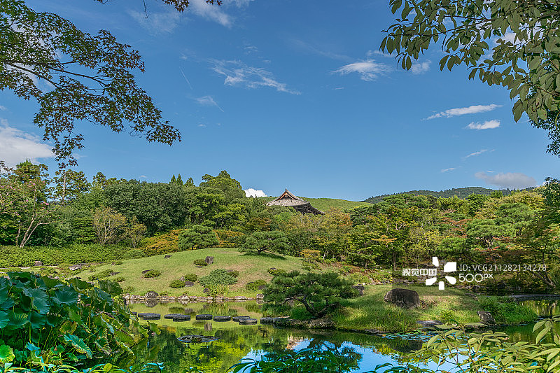 日本的绿色花园图片素材