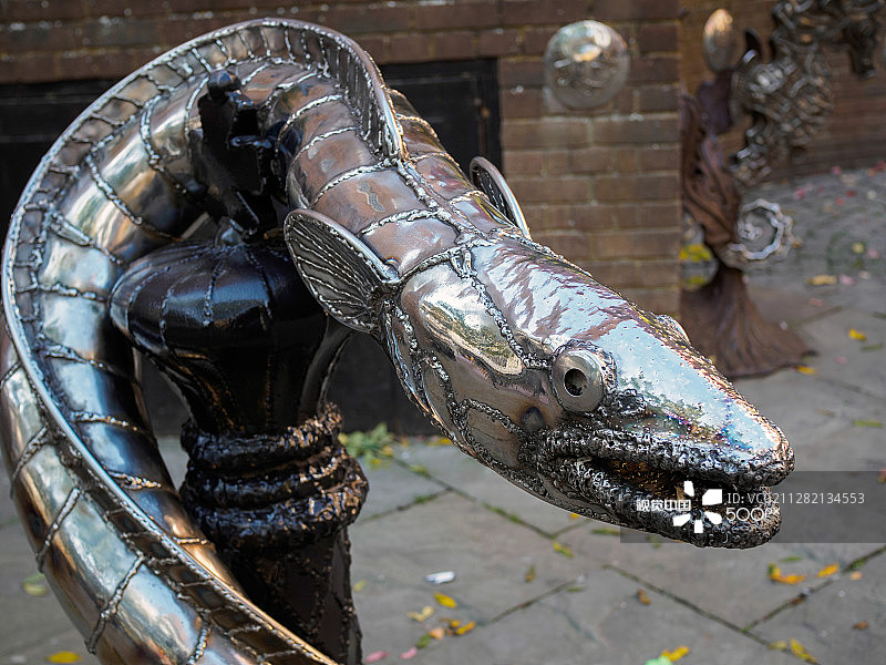 被巨型康吉鳗缠绕的国王图片素材