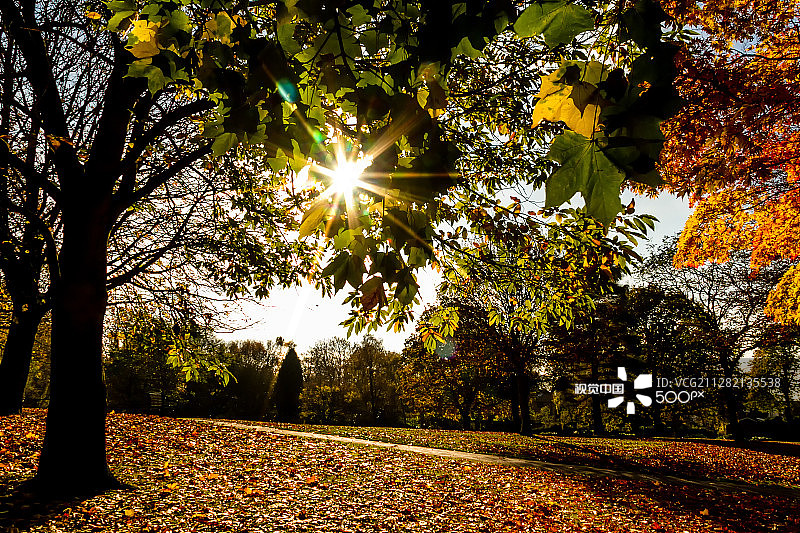 11月11日11点图片素材