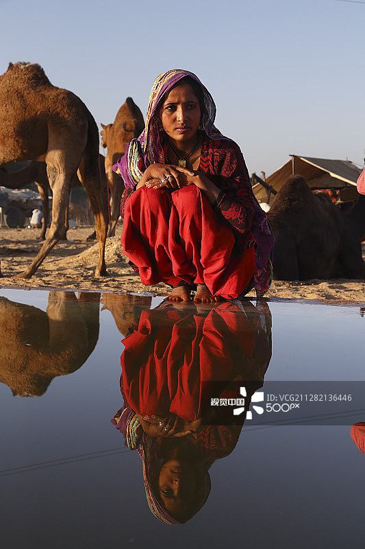 水坑边的苏尼塔图片素材