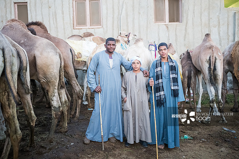 开罗骆驼商店生活图片素材