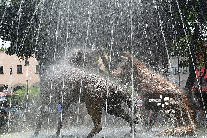 墨西哥科约阿坎的郊狼喷泉图片素材