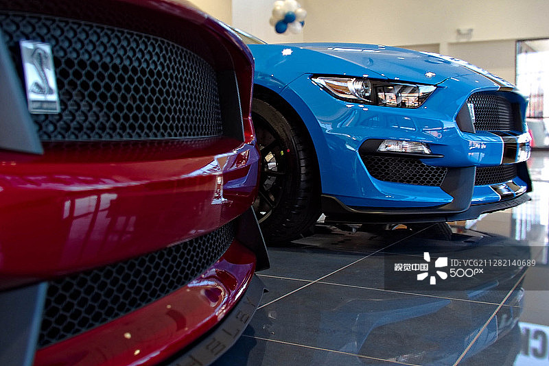 眼镜蛇之爱图片素材