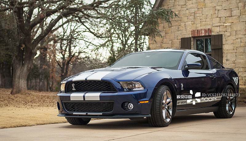 谢尔比眼镜蛇跑车图片素材