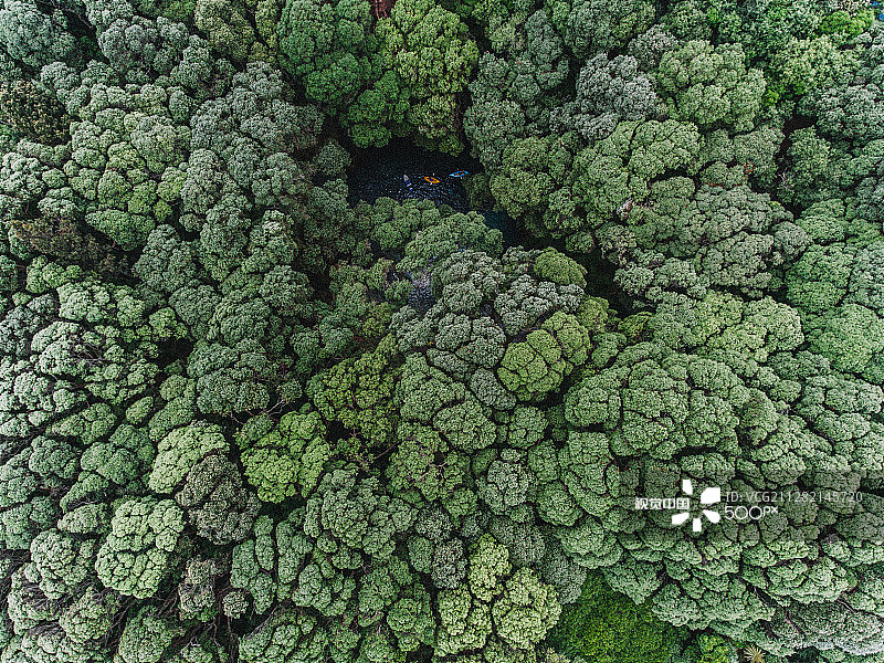 旺格马塔岛屿图片素材