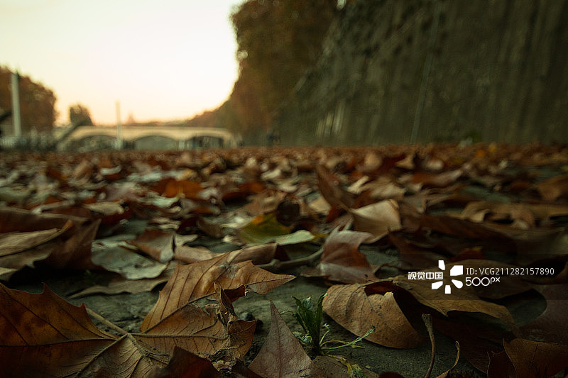 黄昏时的台伯河沿岸图片素材