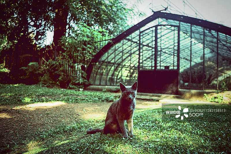 《卫报》图片素材