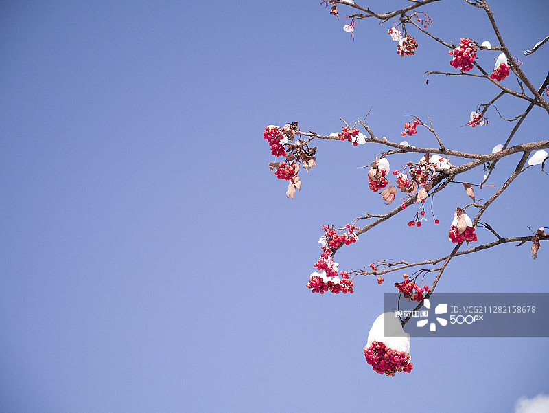 日本小樽图片素材