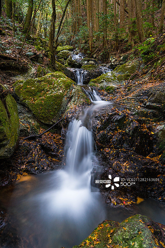 日本岚山图片素材