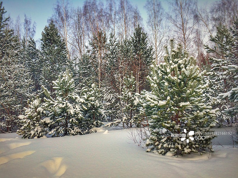 俄罗斯托木斯克图片素材