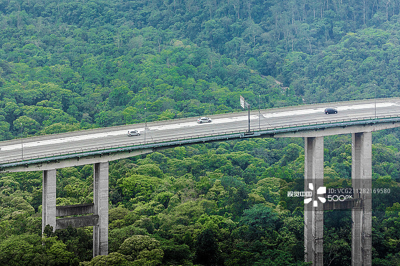 森林中桥梁的高角度视图图片素材