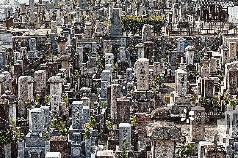墓地图片素材