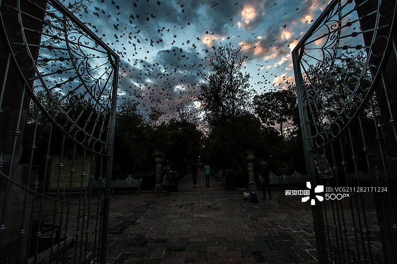 天堂之门图片素材