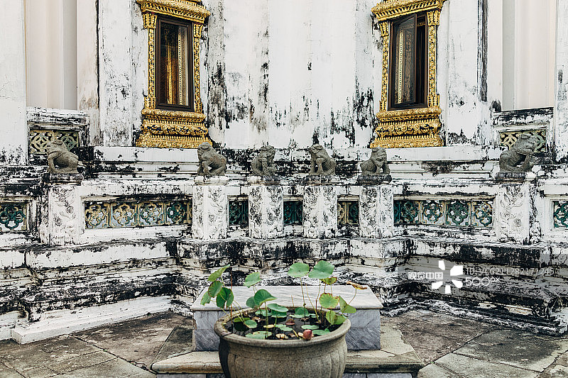 什么火卫一图片素材