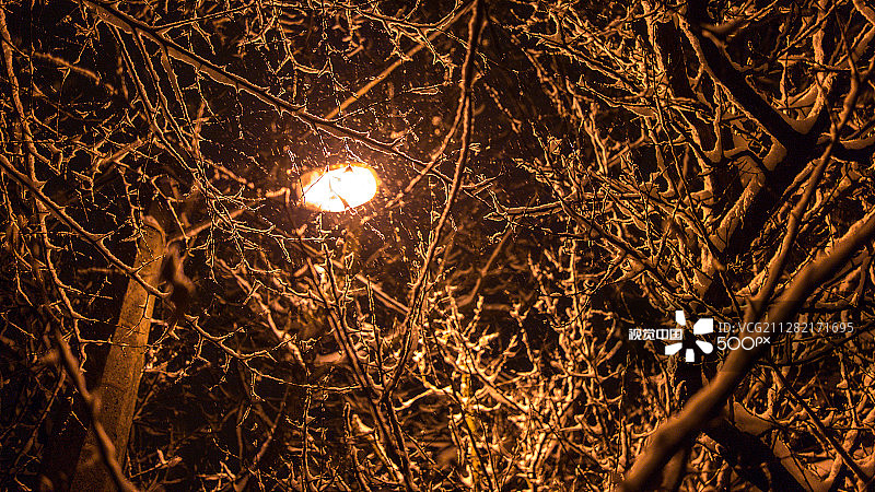 温暖的丛林图片素材