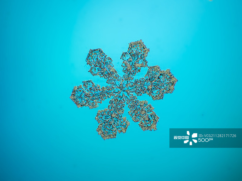 雪花003图片素材