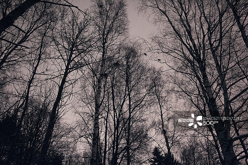 芬兰奥卢图片素材