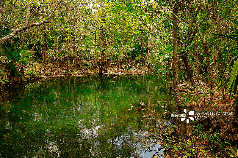 绿色天坑图片素材