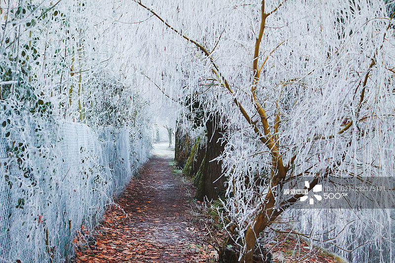 阿朗松萨尔特河畔冬季景色图片素材